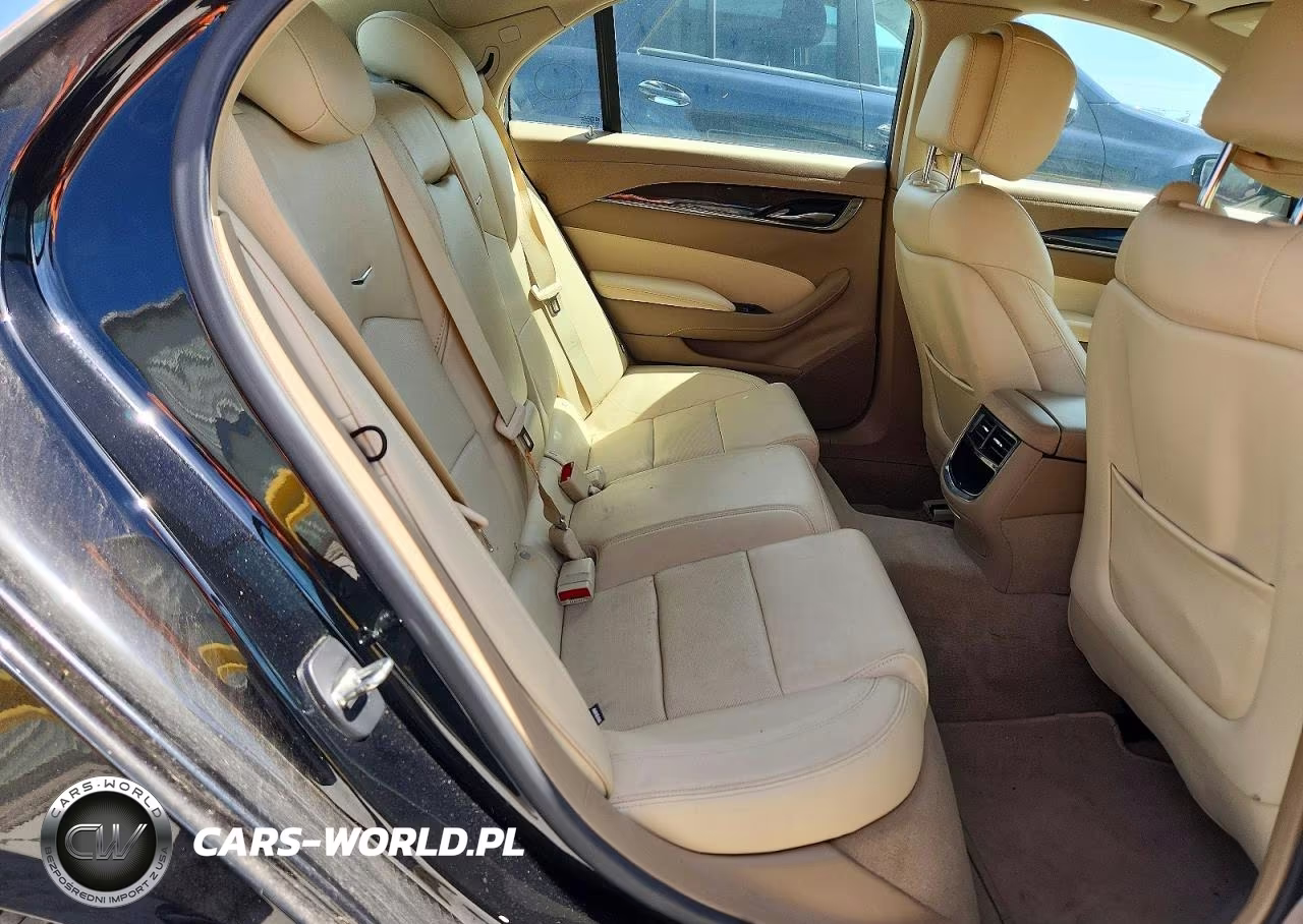 2014 Cadillac Cts Luxury Collection VIN:1G6AR5SX1E0179029 - 10