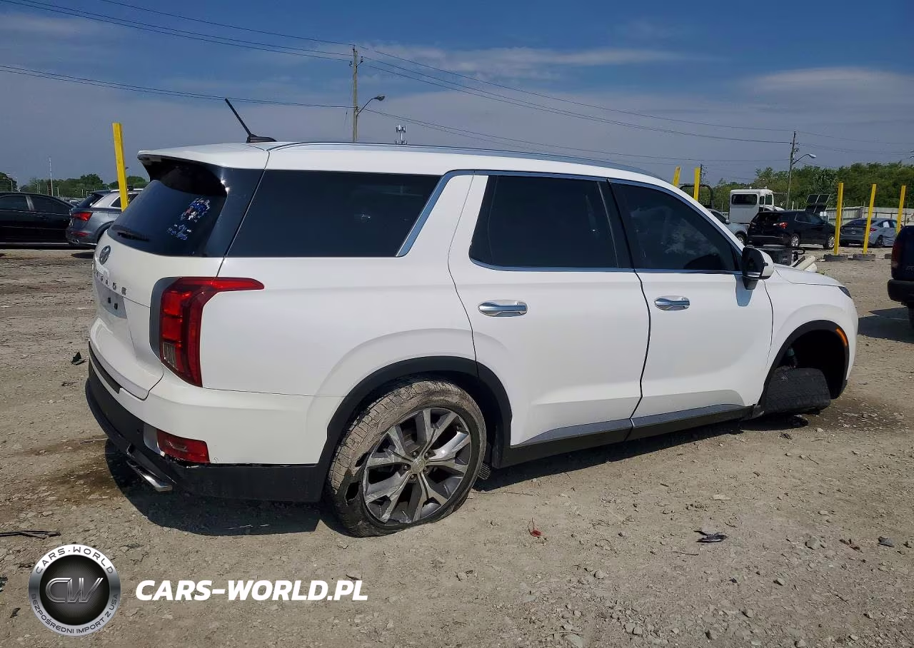 2020 Hyundai Palisade Sel VIN:KM8R44HE9LU112761 - 3