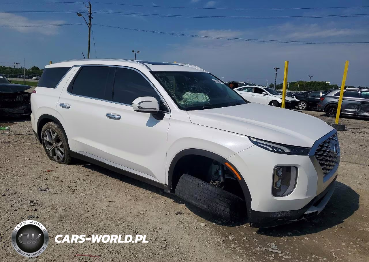 2020 Hyundai Palisade Sel VIN:KM8R44HE9LU112761 - 4