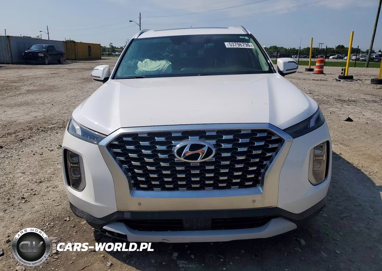 2020 Hyundai Palisade Sel VIN:KM8R44HE9LU112761 - 5