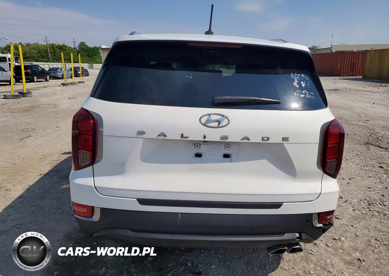 2020 Hyundai Palisade Sel VIN:KM8R44HE9LU112761 - 6