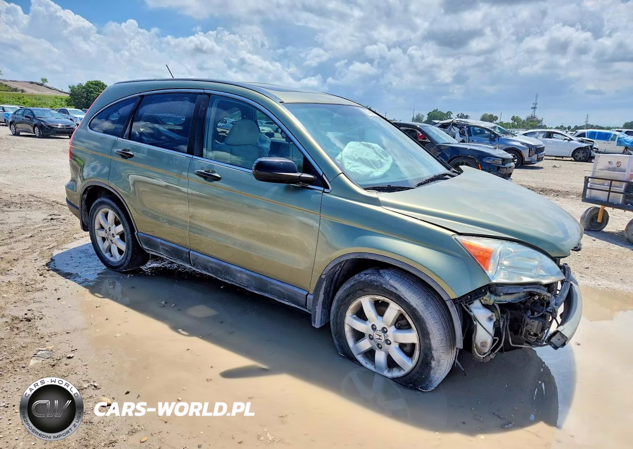 2009 Honda Crv VIN:5J6RE485X9L033092 - 4