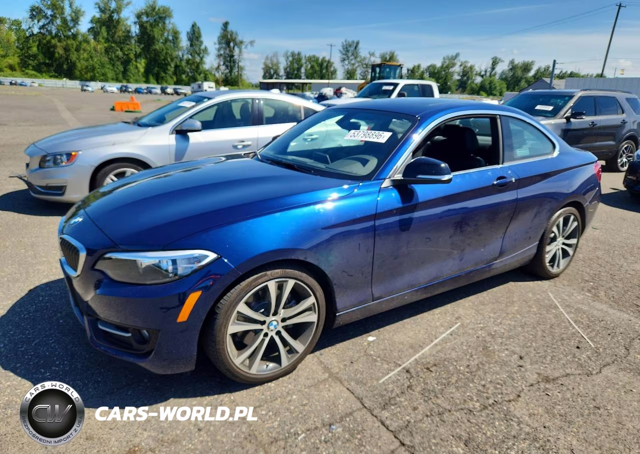 2015 BMW 228 I Sulev