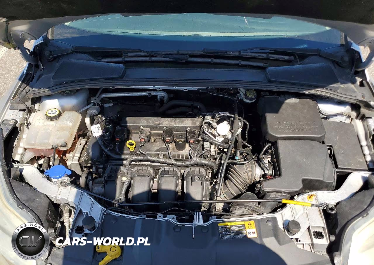 2014 Ford Focus Se VIN:1FADP3F24EL171286 - 11