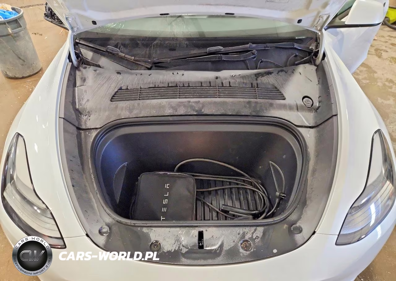 2023 Tesla Model Y VIN:7SAYGDEE9PF714007 - 11