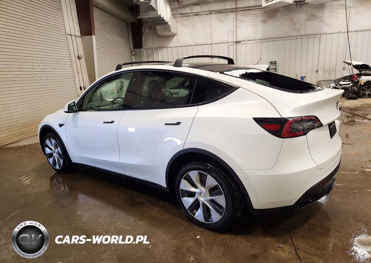 2023 Tesla Model Y VIN:7SAYGDEE9PF714007 - 2