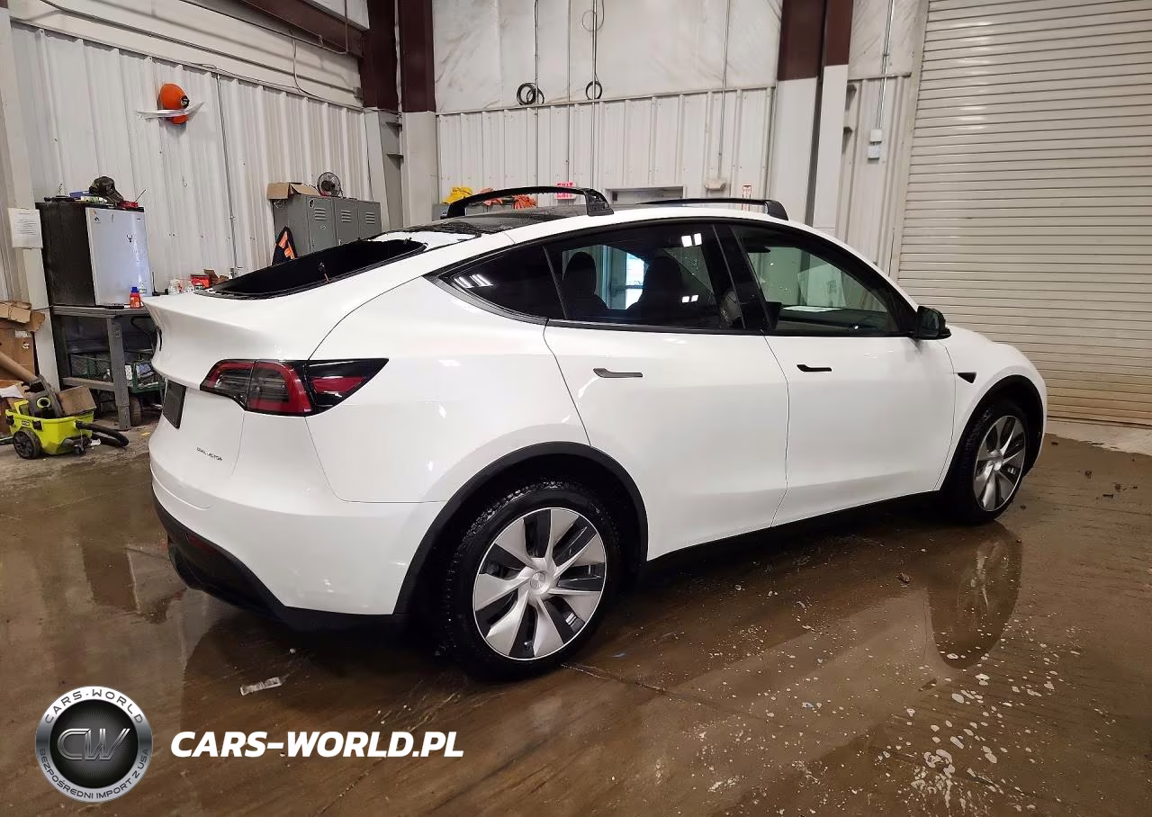 2023 Tesla Model Y VIN:7SAYGDEE9PF714007 - 3
