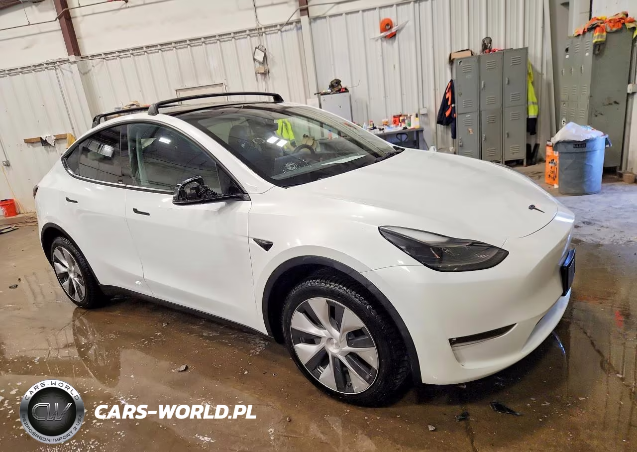 2023 Tesla Model Y VIN:7SAYGDEE9PF714007 - 4