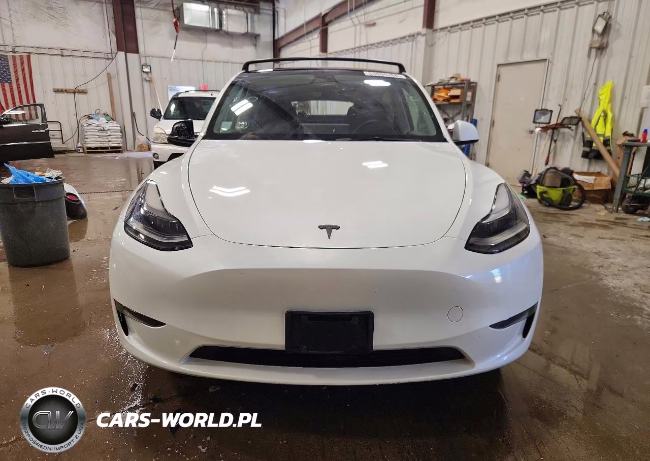 2023 Tesla Model Y VIN:7SAYGDEE9PF714007 - 5
