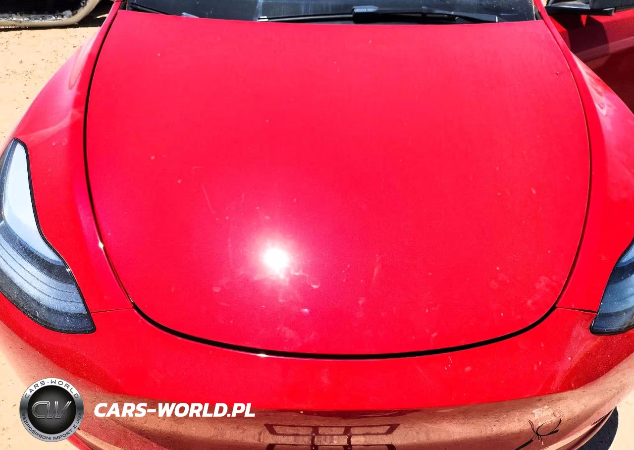 2023 Tesla Model Y VIN:7SAYGAEE6PF941329 - 11