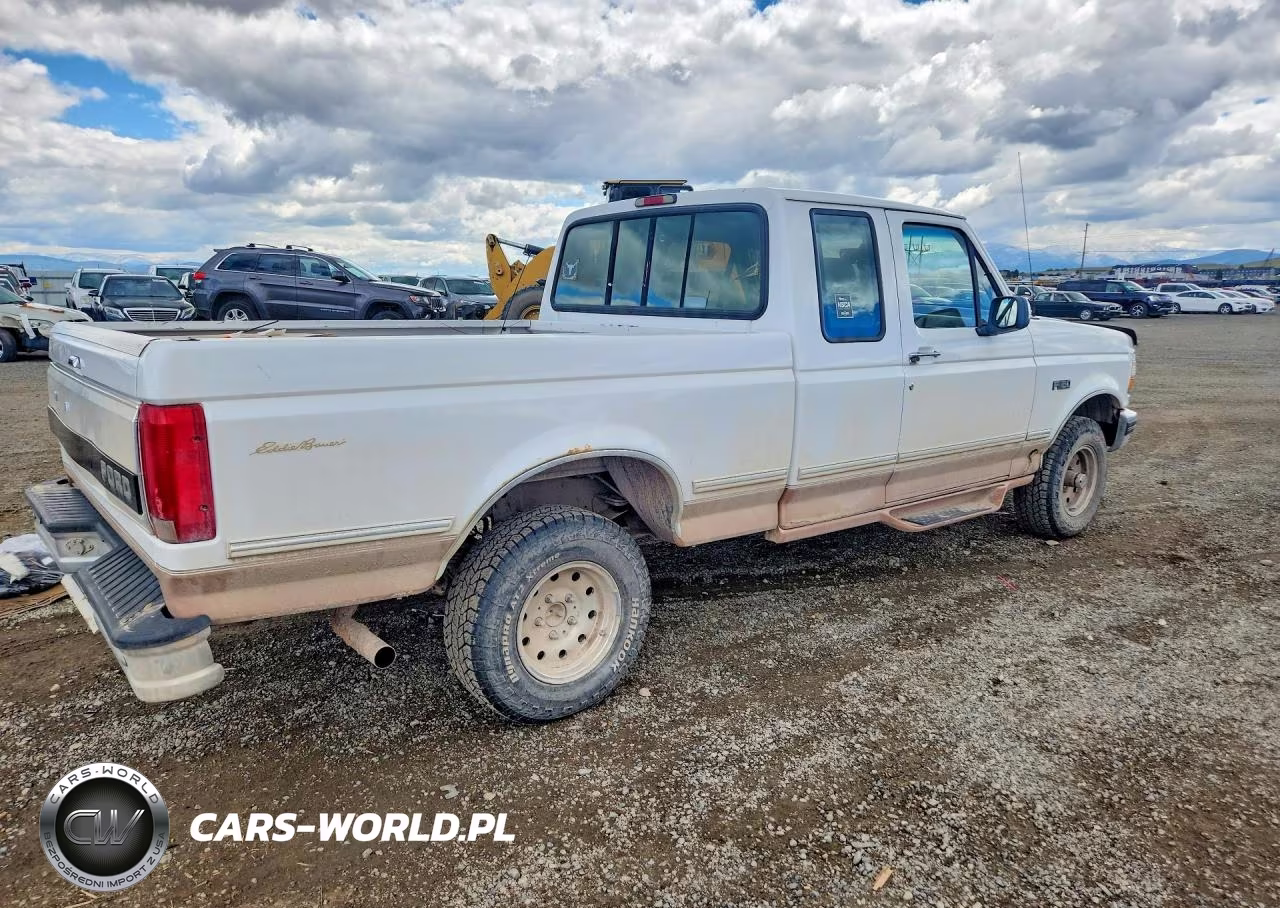 1995 Ford F150 VIN:1FTEX14N1SKA88495 - 3
