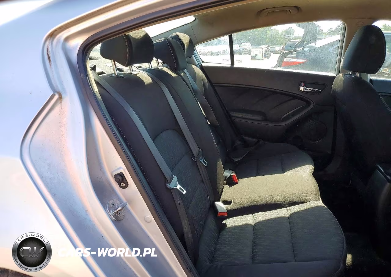 2014 Kia Forte Lx VIN:KNAFK4A62E5139231 - 10