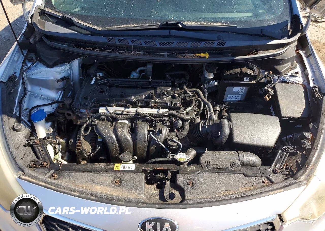 2014 Kia Forte Lx VIN:KNAFK4A62E5139231 - 11