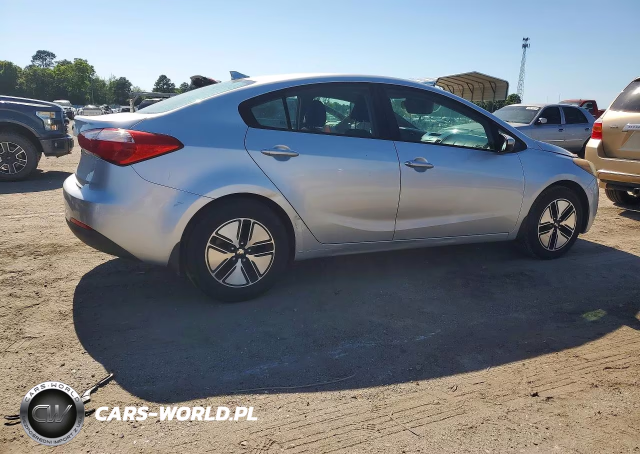 2014 Kia Forte Lx VIN:KNAFK4A62E5139231 - 3