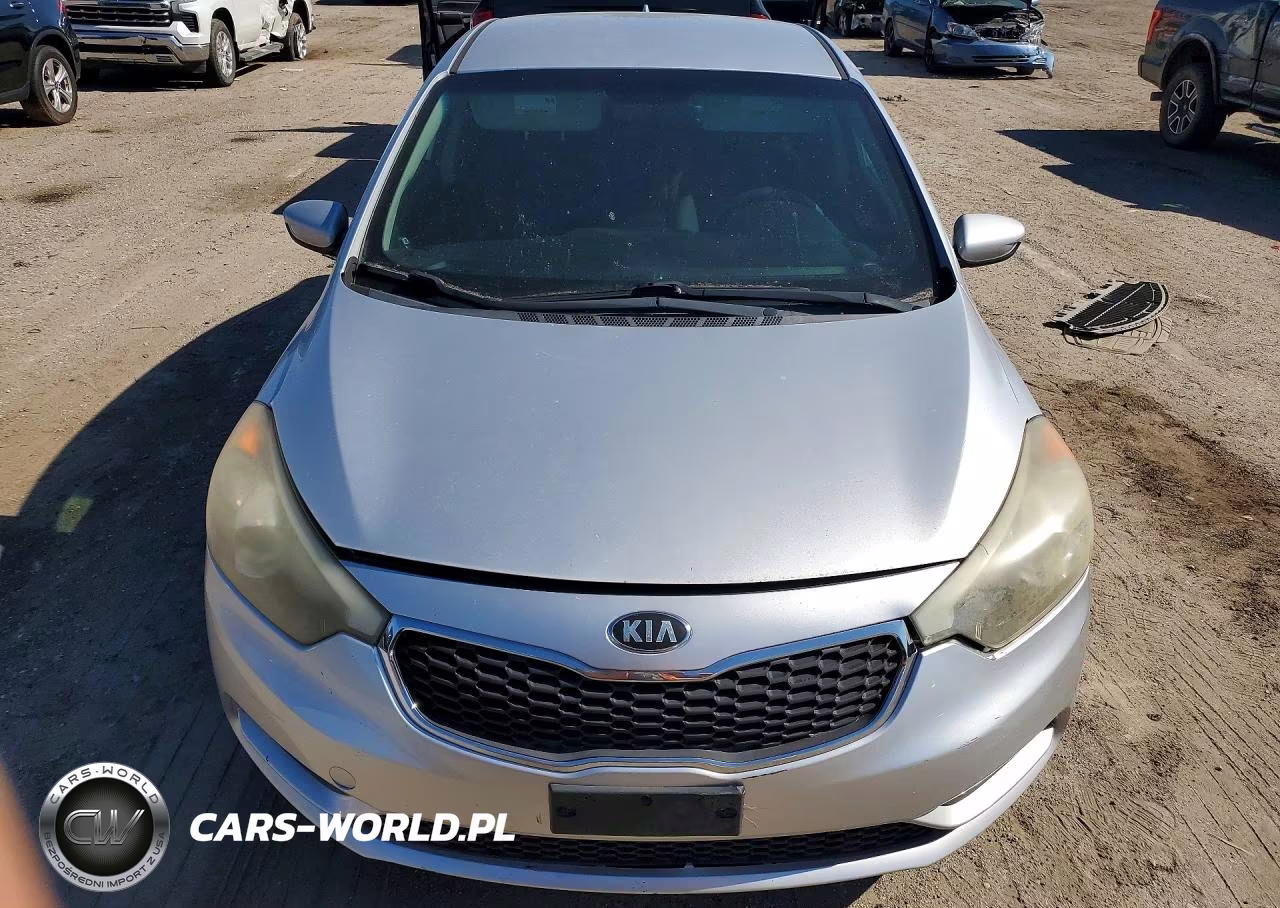 2014 Kia Forte Lx VIN:KNAFK4A62E5139231 - 5