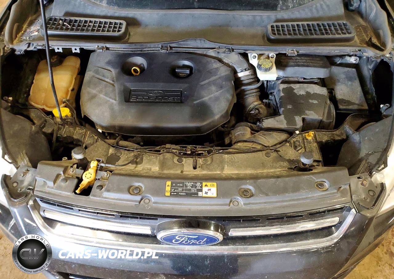 2014 Ford Escape Titanium VIN:1FMCU9J91EUB86369 - 12
