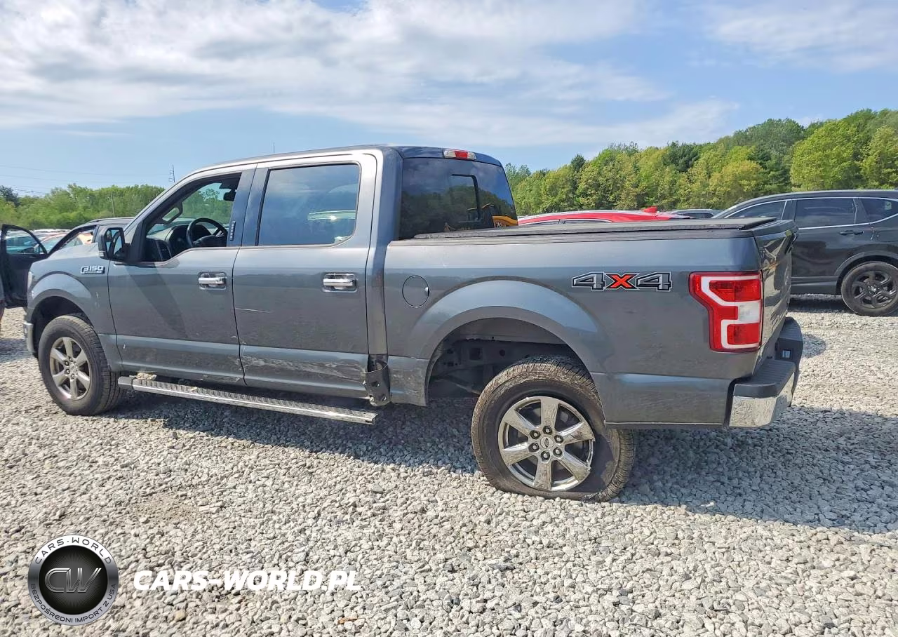 2020 Ford F150 Supercrew VIN:1FTEW1EP8LFC37563 - 2