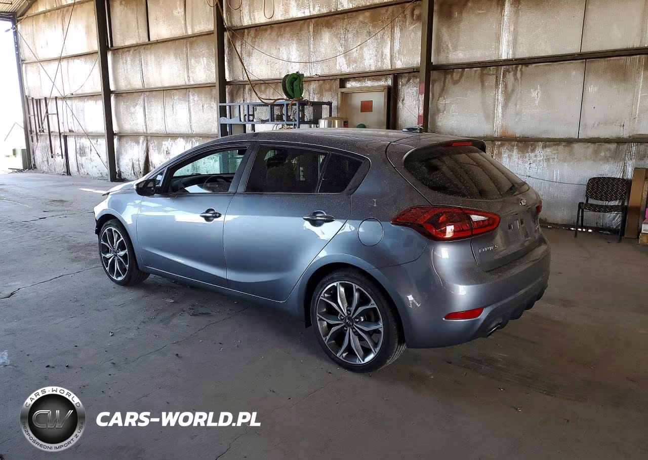 2017 K Forte 5 VIN:3KPFN5A31HE000559 - 2