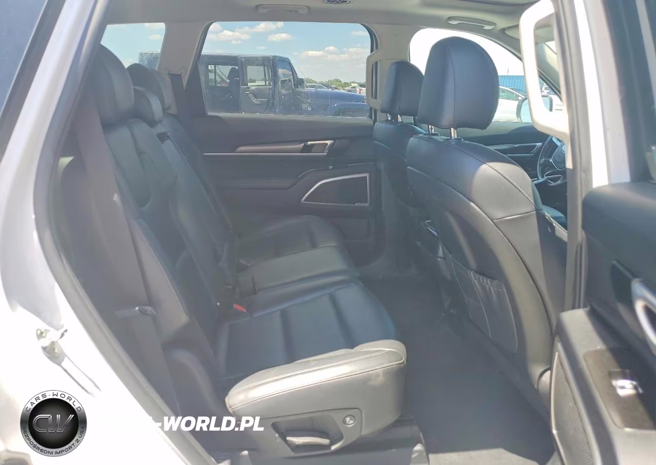 2020 Kia Telluride S VIN:5XYP64HC9LG044306 - 11