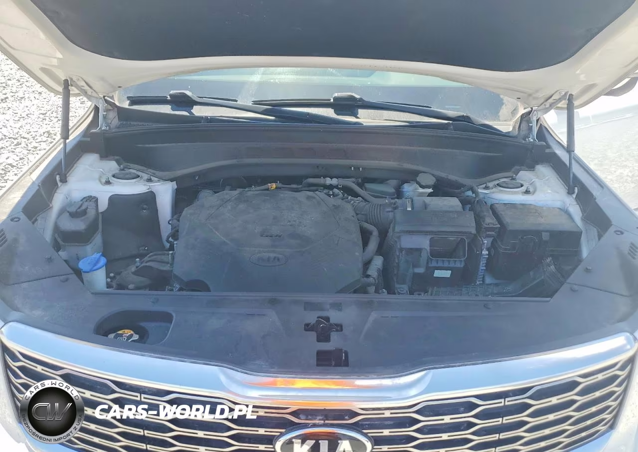 2020 Kia Telluride S VIN:5XYP64HC9LG044306 - 12