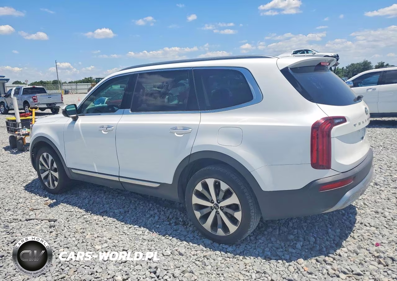2020 Kia Telluride S VIN:5XYP64HC9LG044306 - 2