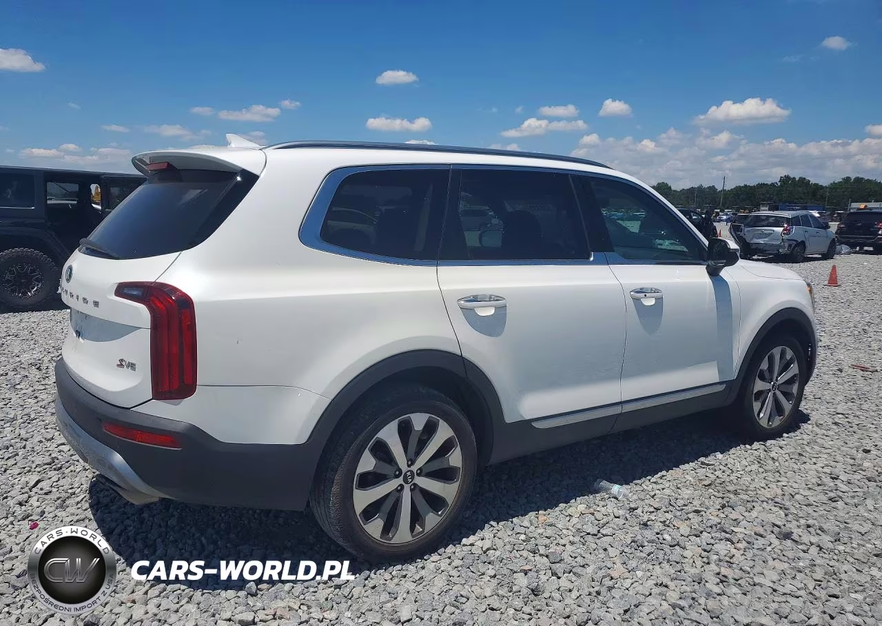 2020 Kia Telluride S VIN:5XYP64HC9LG044306 - 3