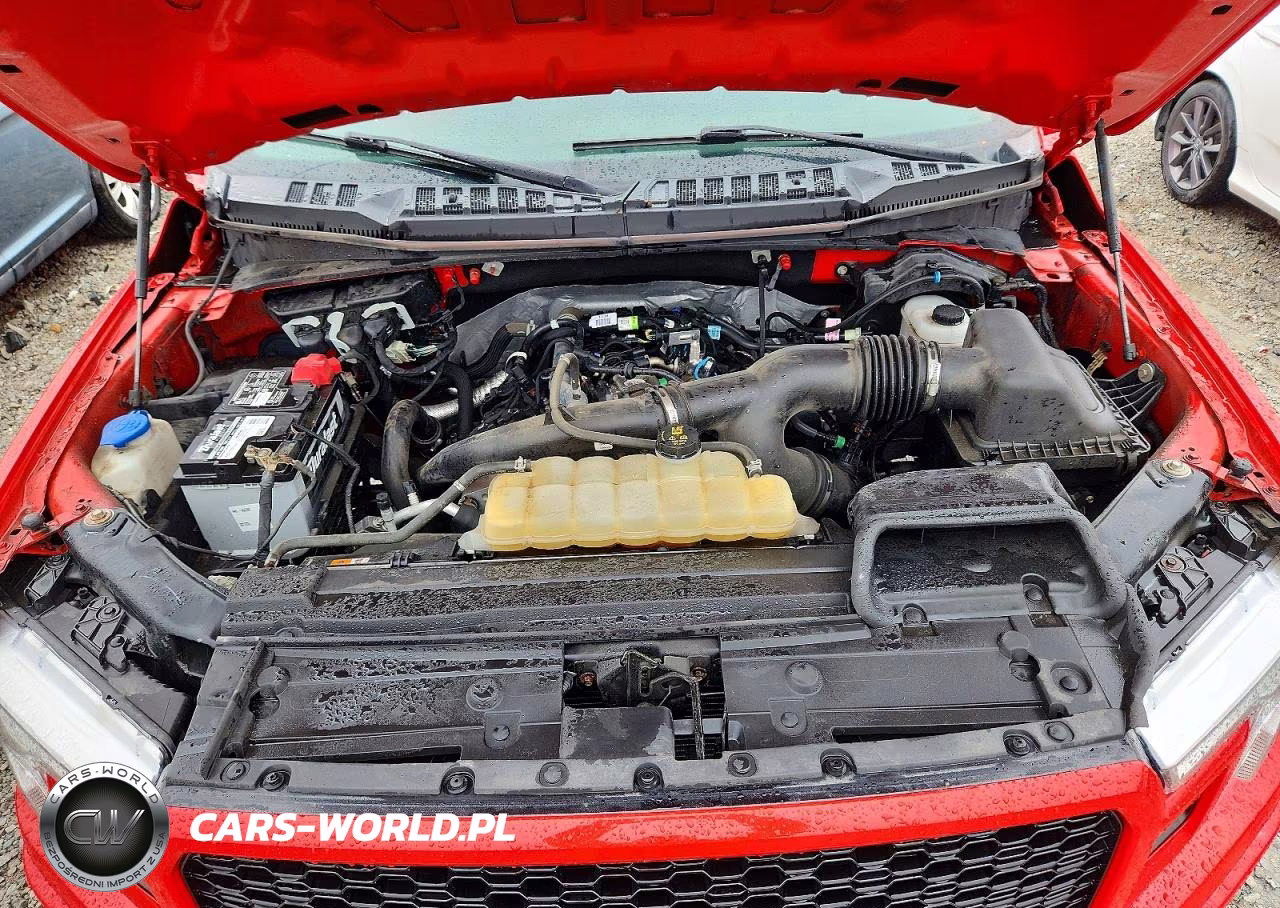 2020 Ford F150 Supercrew VIN:1FTEW1EP2LFB10288 - 11
