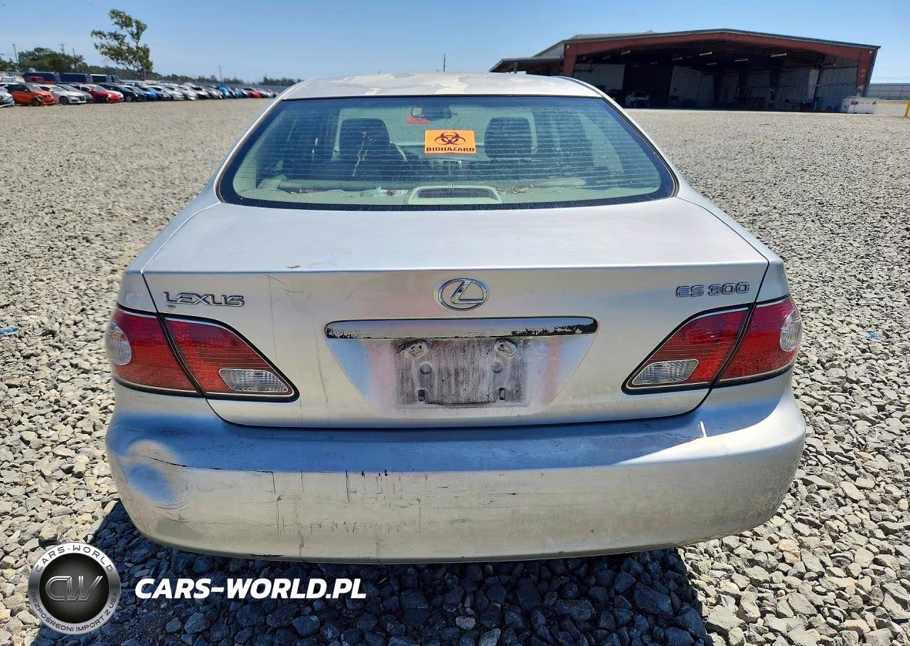 2003 Lexus Es 300 VIN:JTHBF30G836000303 - 6