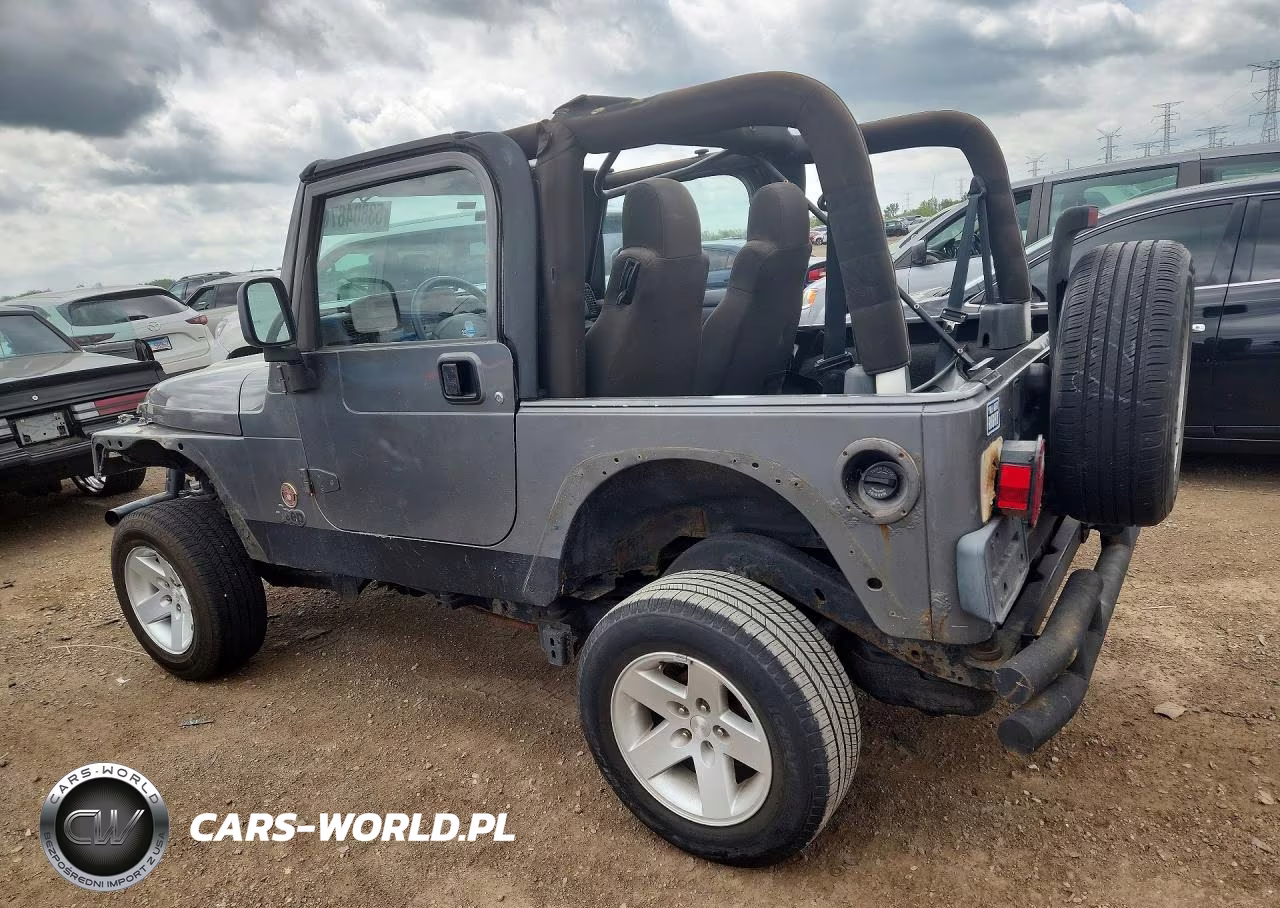 2004 Jeep Wrangler VIN:1J4FA39S44P770223 - 2