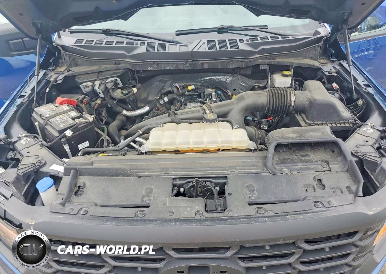 2024 Ford F150 Xl VIN:1FTEW1LP6RKD07046 - 11