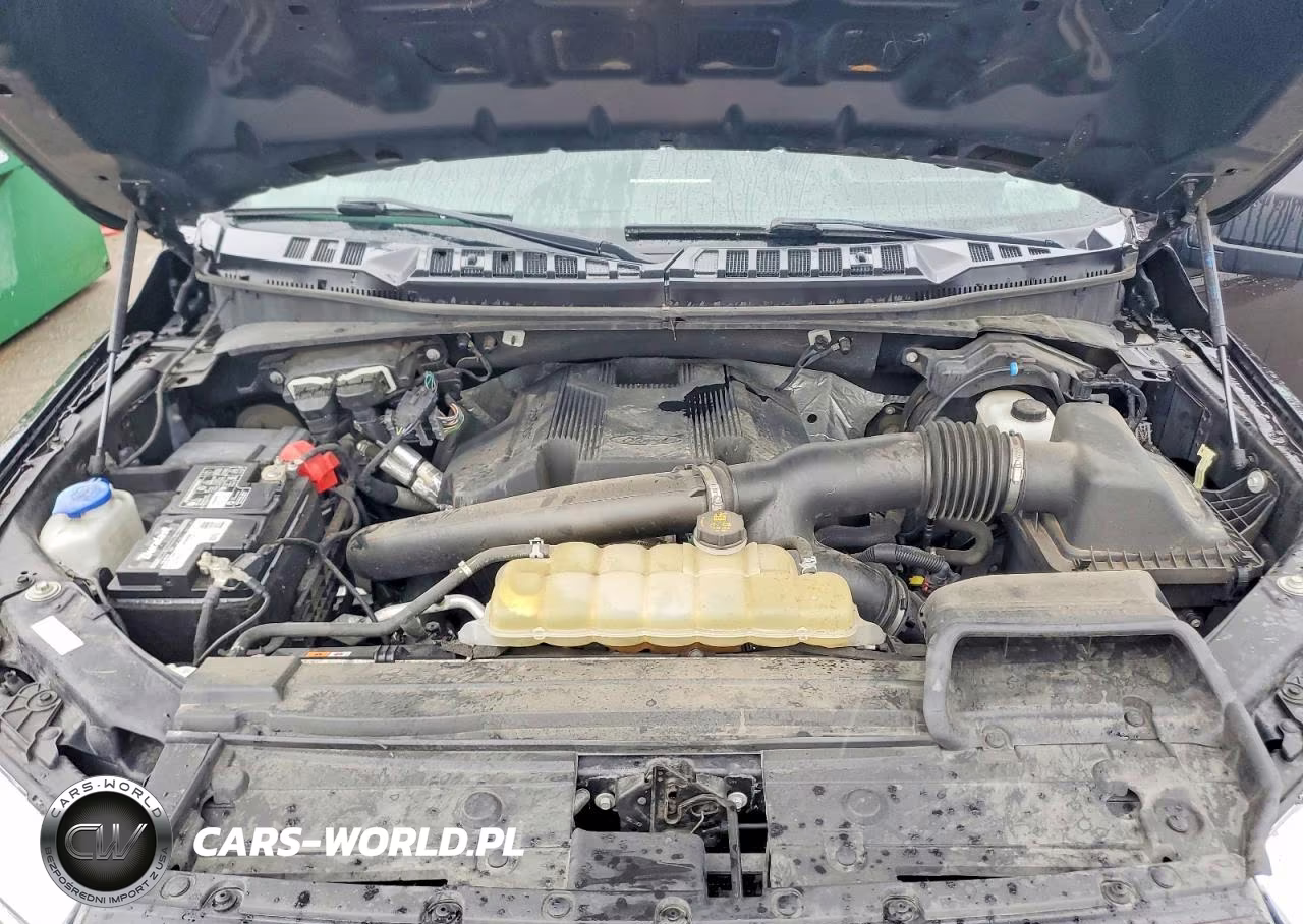 2019 Ford F150 Supercrew VIN:1FTEW1E41KFD07179 - 11
