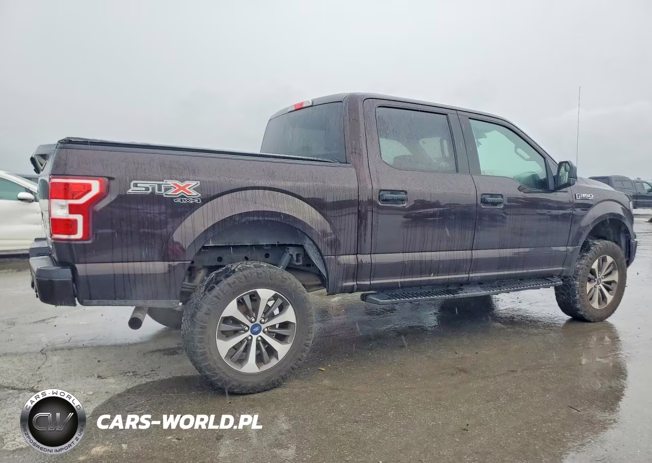 2019 Ford F150 Supercrew VIN:1FTEW1E41KFD07179 - 3