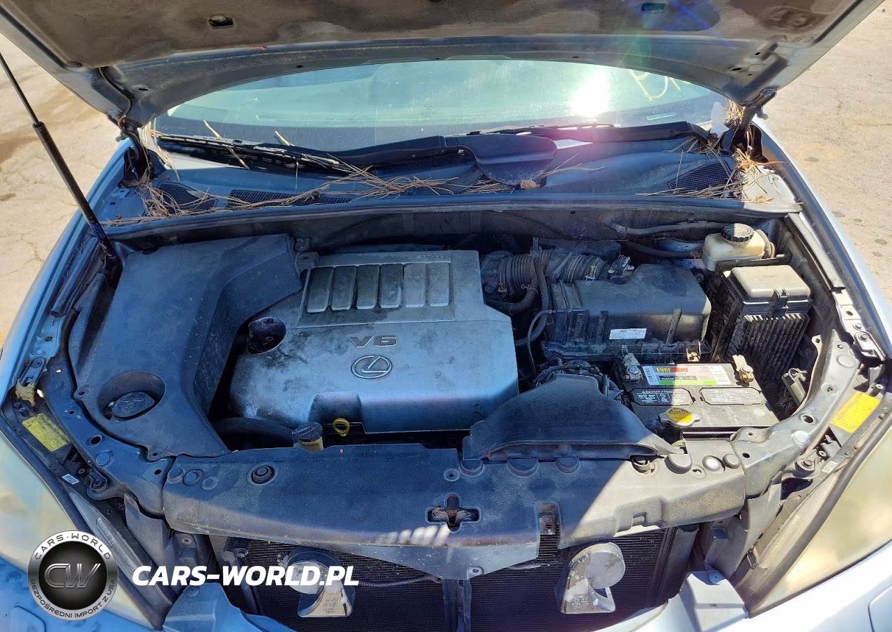 2007 Lexus Rx 350 VIN:2T2HK31U37C020271 - 12