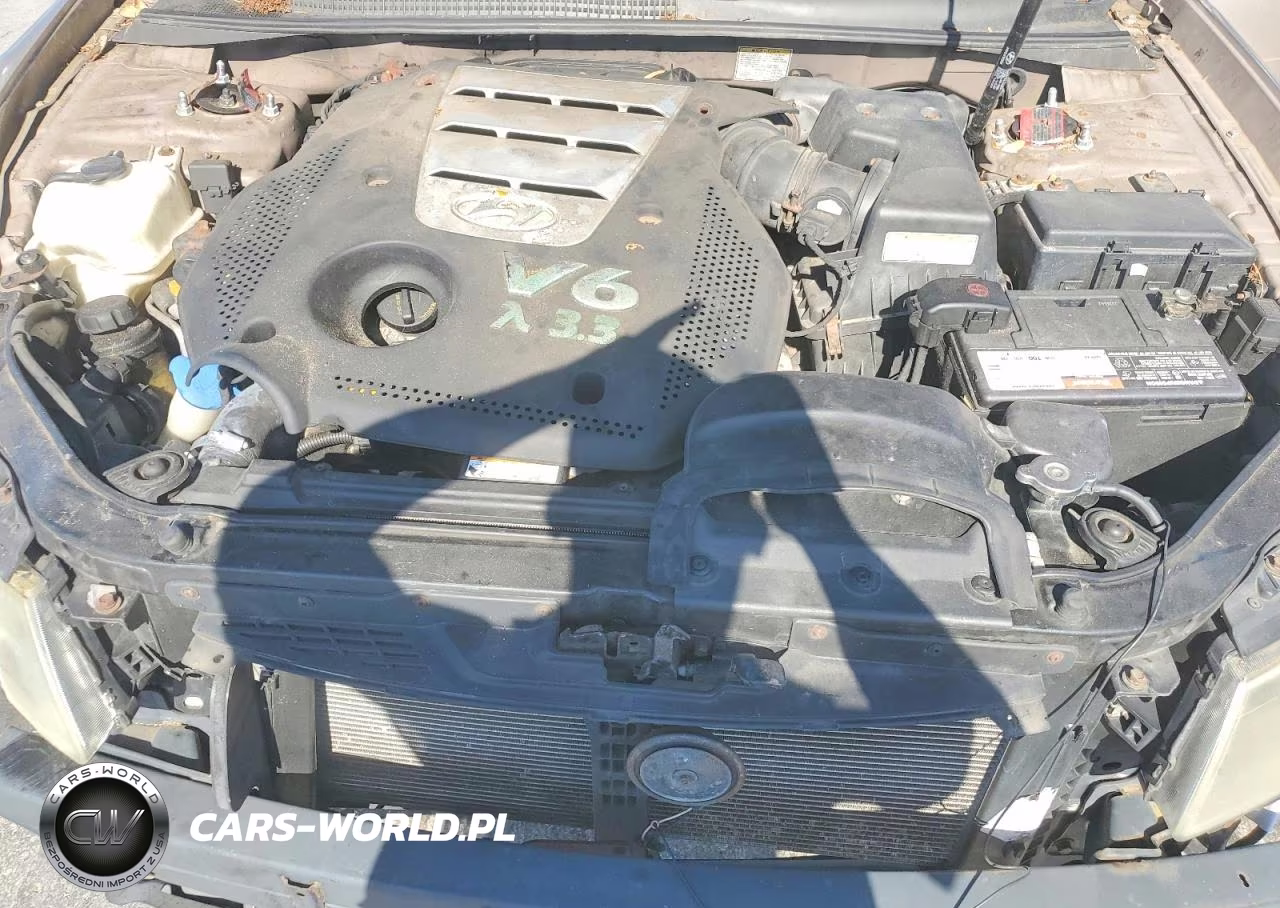 2006 Hyundai Sonata Gls V6 VIN:5NPEU46F66H007365 - 11