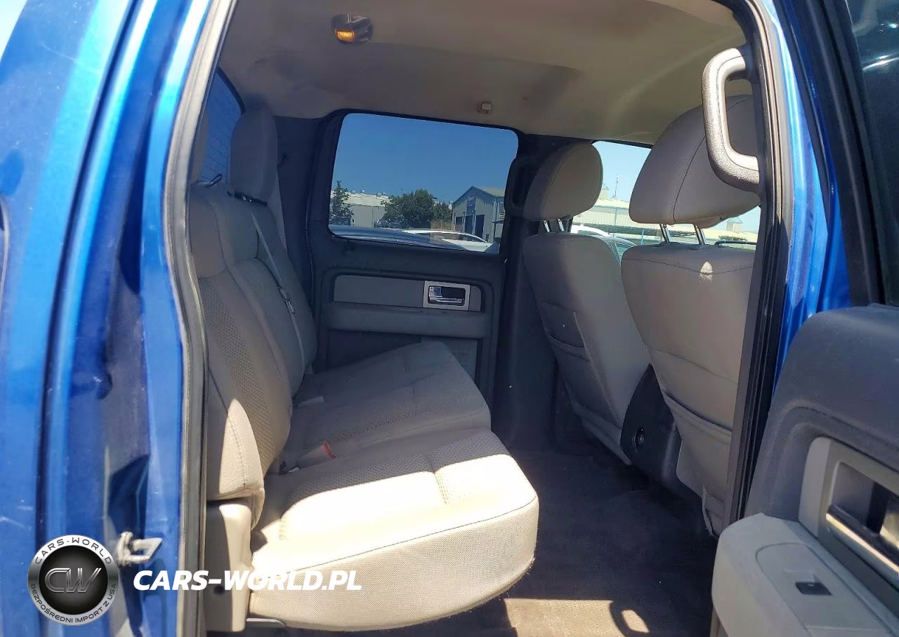 2010 Ford F150 Supercrew VIN:1FTFW1EV4AKE18862 - 10