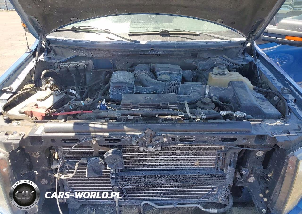 2010 Ford F150 Supercrew VIN:1FTFW1EV4AKE18862 - 11