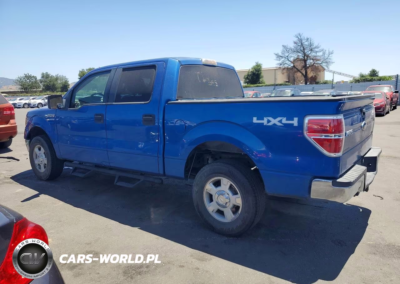 2010 Ford F150 Supercrew VIN:1FTFW1EV4AKE18862 - 2