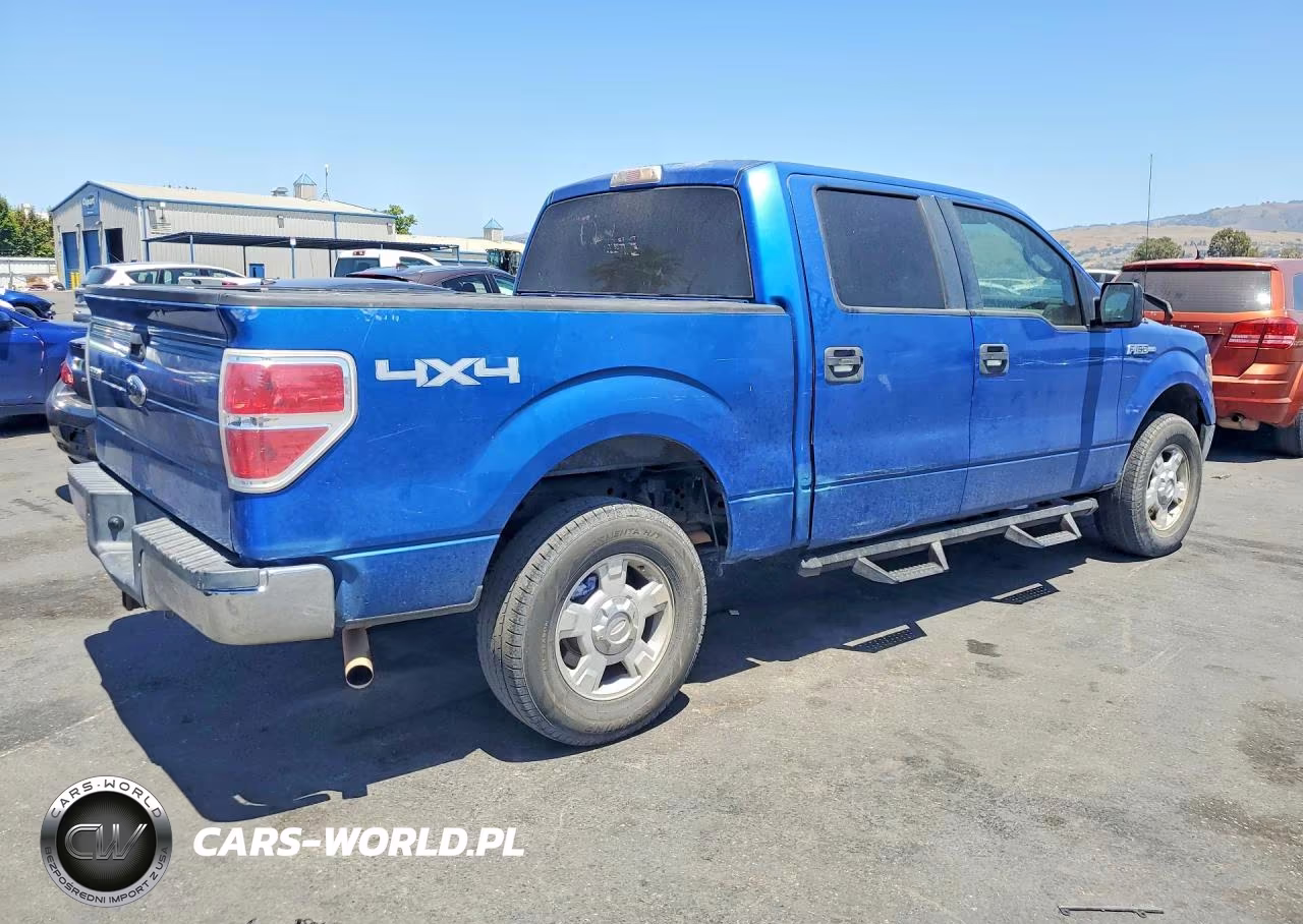 2010 Ford F150 Supercrew VIN:1FTFW1EV4AKE18862 - 3