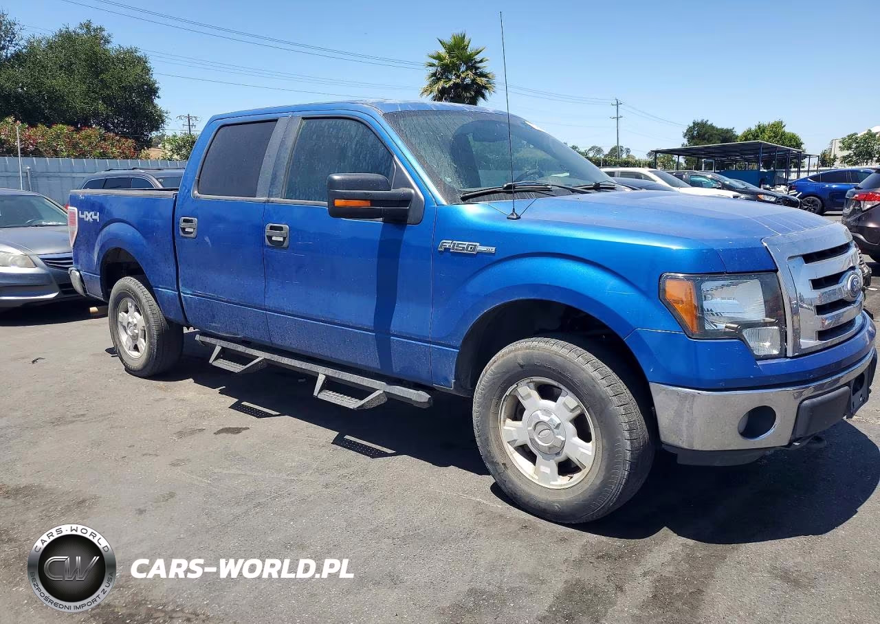 2010 Ford F150 Supercrew VIN:1FTFW1EV4AKE18862 - 4