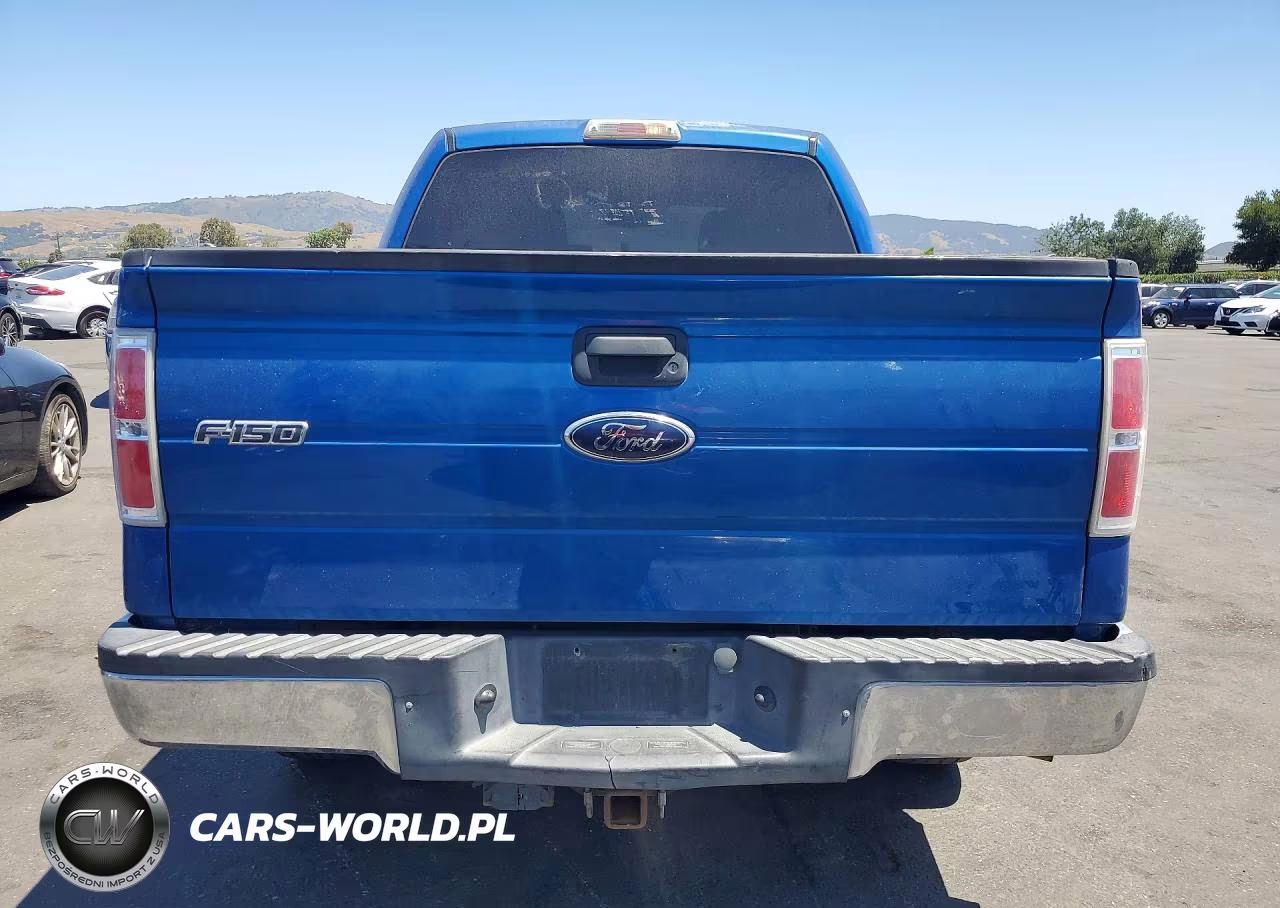 2010 Ford F150 Supercrew VIN:1FTFW1EV4AKE18862 - 6
