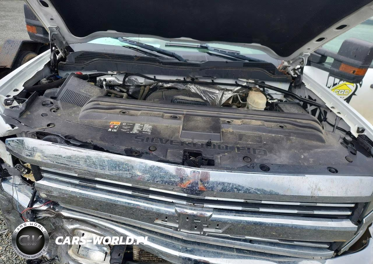 2017 Chevrolet Silverado C2500 Heavy Duty VIN:1GB1CUEG9HF135242 - 12