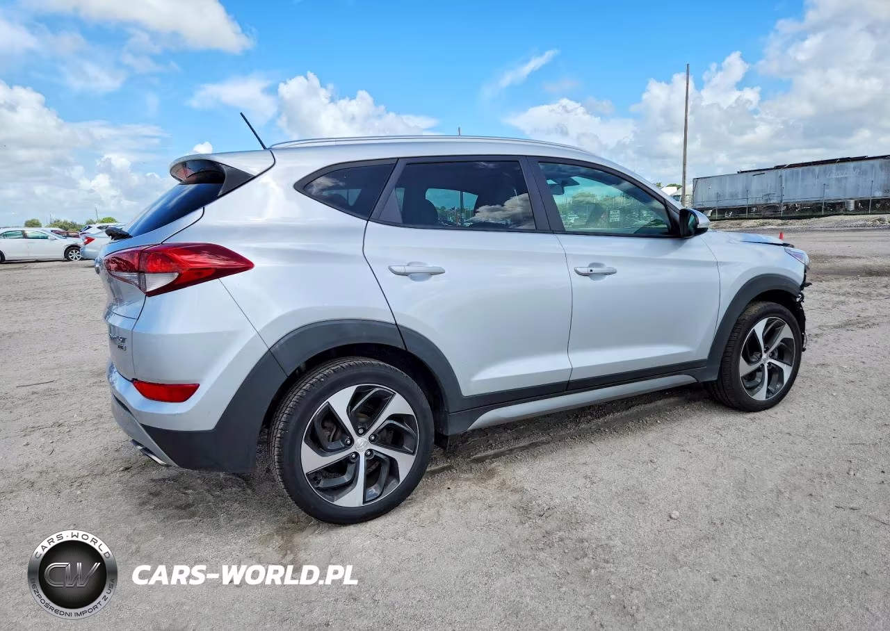 2017 Hyundai Tucson Sport VIN:KM8J3CA29HU301797 - 3