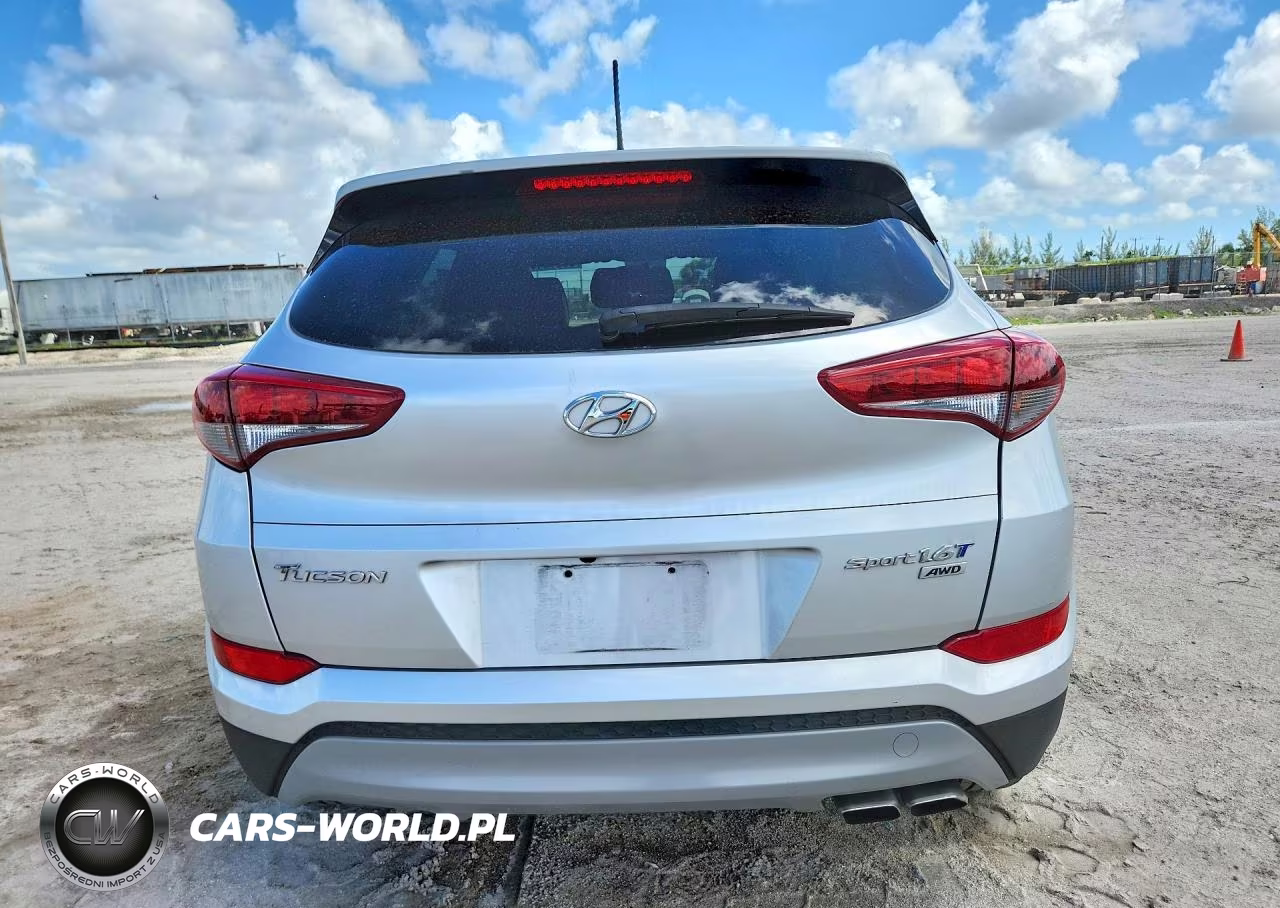 2017 Hyundai Tucson Sport VIN:KM8J3CA29HU301797 - 6