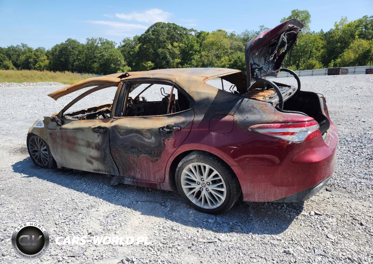2019 Toyota Camry Xle VIN:4T1B11HK1KU233801 - 2