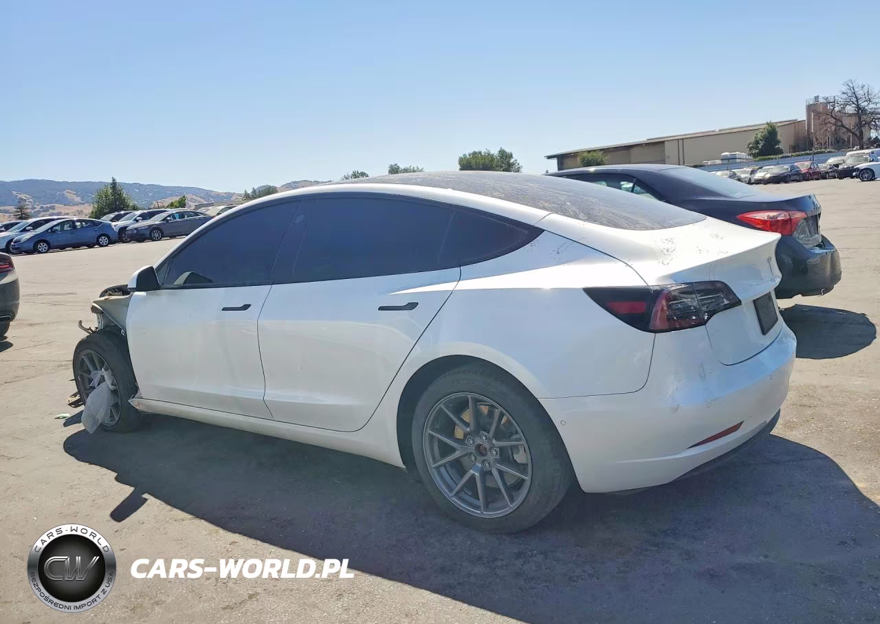 2021 Tesla Model 3 VIN:5YJ3E1EB7MF077924 - 2