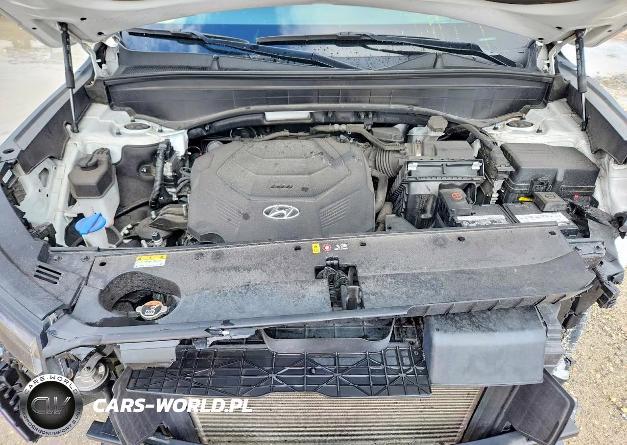 2024 Hyundai Palisade Limited VIN:KM8R54GE3RU662612 - 12