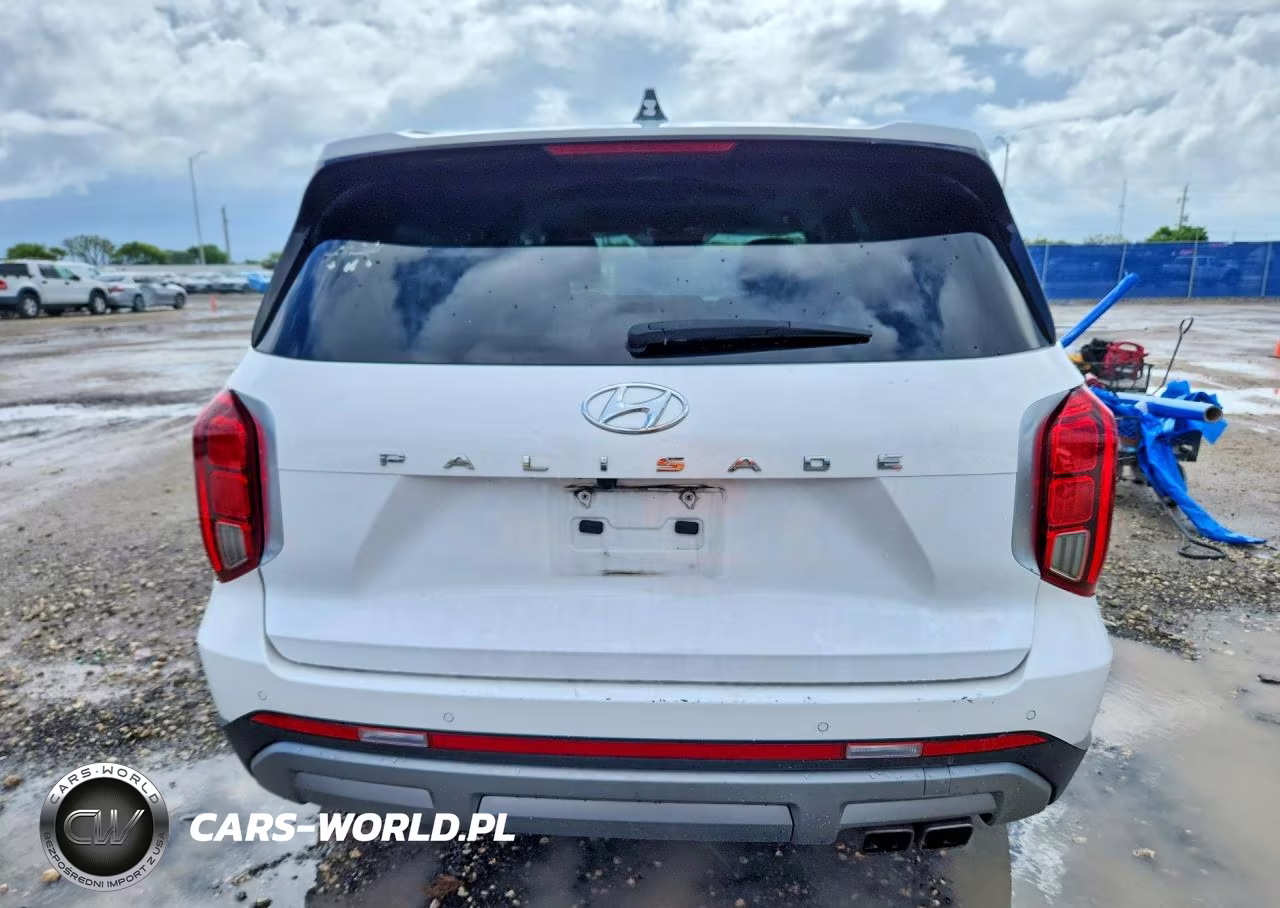 2024 Hyundai Palisade Limited VIN:KM8R54GE3RU662612 - 6