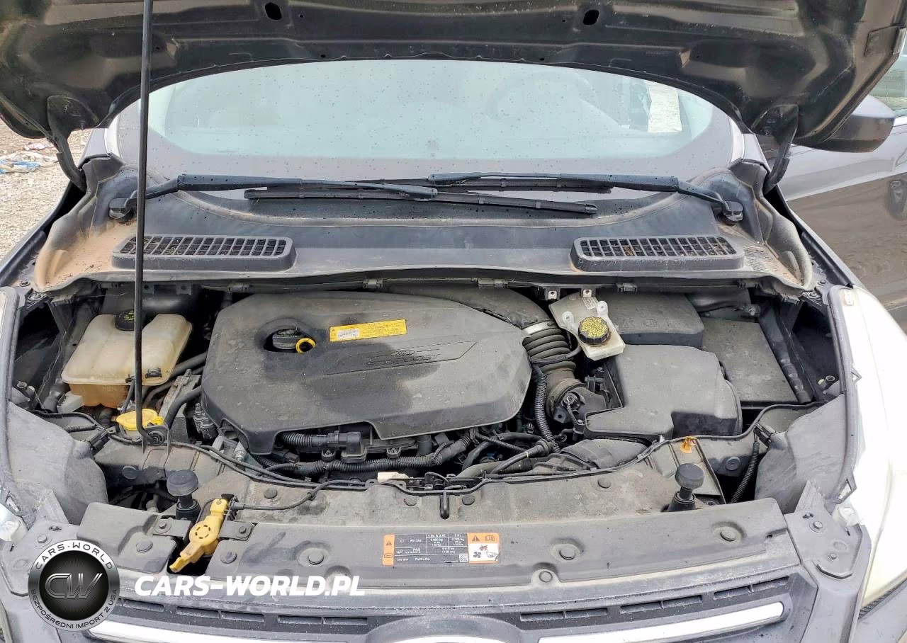 2015 Ford Escape Se VIN:1FMCU0GX7FUC88584 - 12