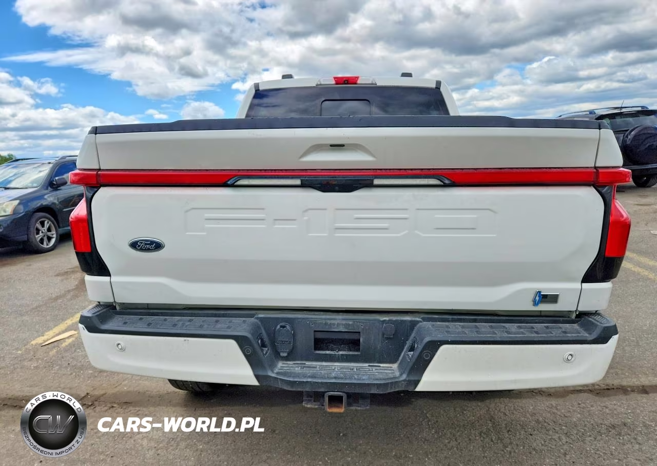 2022 Ford F150 Lightning Pro VIN:1FT6W1EV5NWG02979 - 6