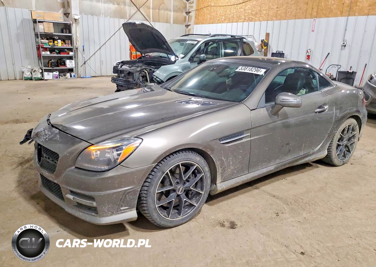 2015 Mercedes-Benz Slk 250